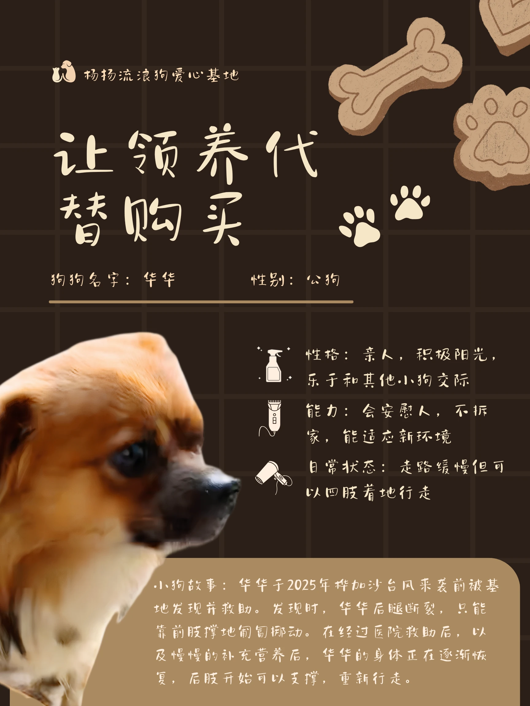 Version A: Huahua’s photograph and rescue story on a warm brown adoption poster